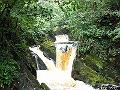 ingleton-falls-1442-080708