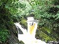 ingleton-falls-1443-080708