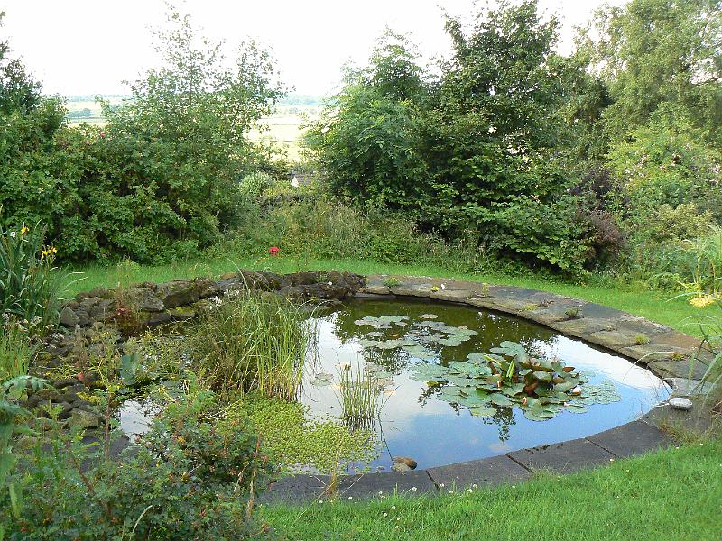 prospect-house-garden-pond-0819-120708.jpg - A Dales garden 08.19, 12 July 2008